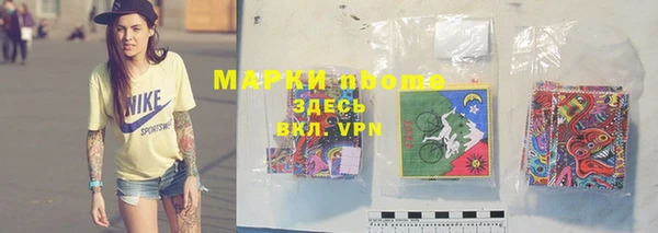 гашик Мегион