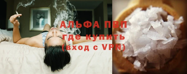 гашик Мегион