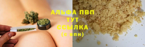 гашик Мегион