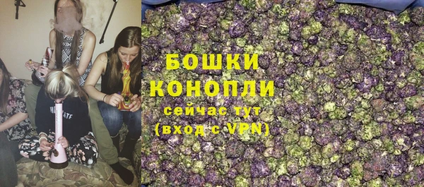 гашик Мегион