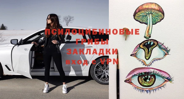 гашик Мегион