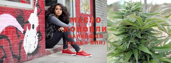 гашик Мегион