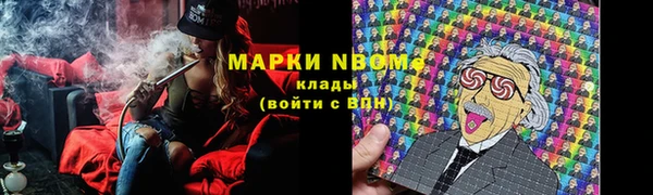 гашик Мегион