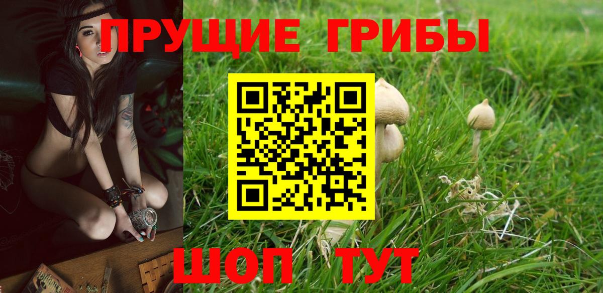 Псилоцибиновые грибы мухоморы  Вход с VPN  Октябрьский 